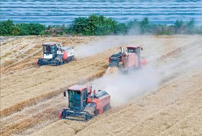 全国夏粮小麦已收获近七成