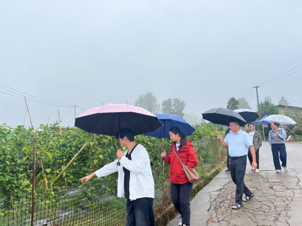 图2:茶山村组织村组干部到德新镇学习