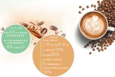 一颗非洲咖啡豆的中国之旅（新视窗）