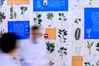 国家现代中药创新中心：带动中药产业创新发展