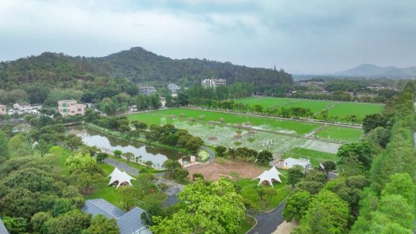 1.莲江山禾田园。