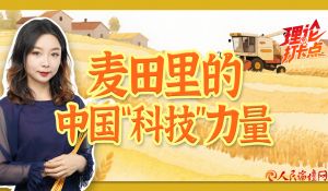 麦田里的中国“科技”力量