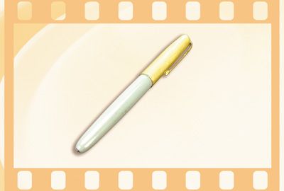 一支钢笔回延安