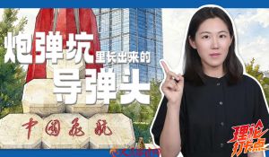 从炮弹坑里长出来的导弹头