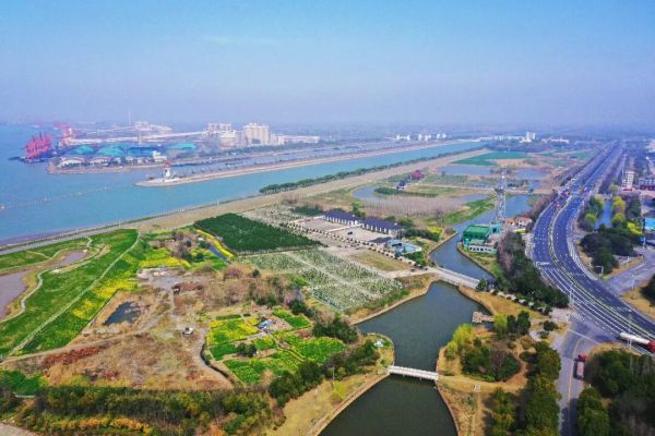 泰州长江岸线整治项目
