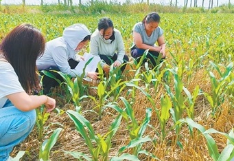 技术只有长在田里才算数