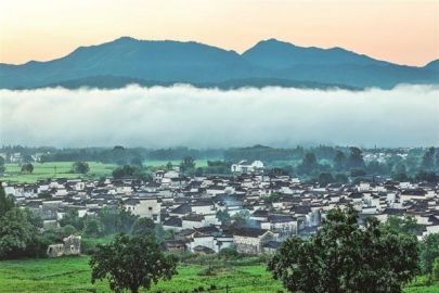 走进乡野，寻觅诗和远方