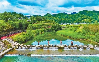 志愿巡河护生态