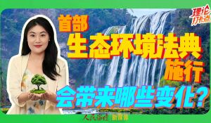 首部生态环境法典施行，会带来什么变化？