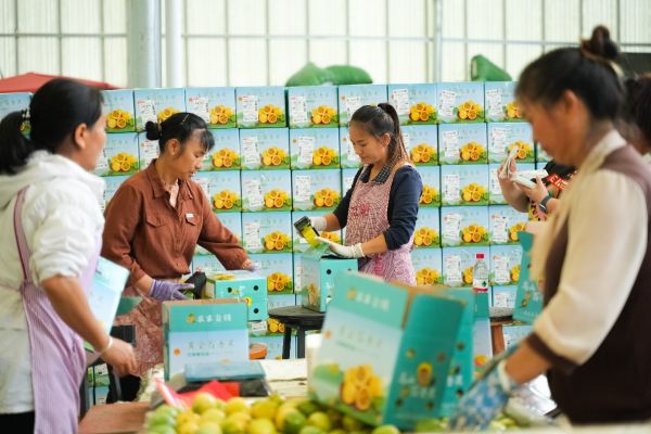 百香果电商的发展促进了当地宝妈群体的就业。闵杉|摄