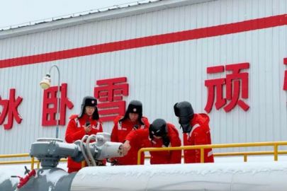 【理响中国·一线探新】极寒之地的“绿色脉动”