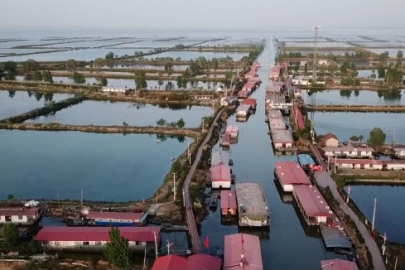 从济宁到万州，一条鲤鱼兴两地