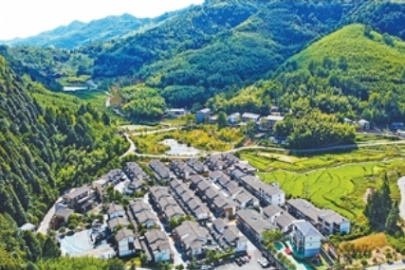 山绿了，日子越过越美（身边的净土保卫战）