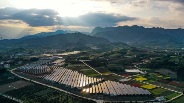 浙江武义“菌光互补”数字化种植基地建设项目全景