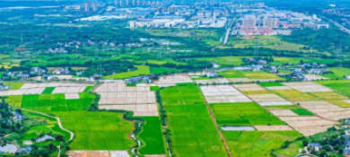 就地解纷稳民心 实干破局促蝶变