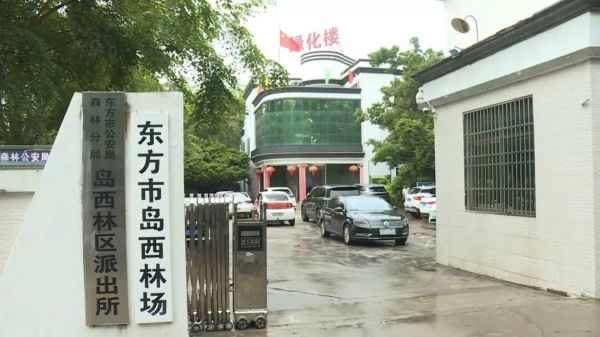 1.东方市岛西林场。东方市融媒体中心 摄