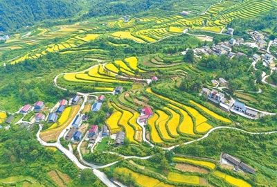 喜看红乡披“新裳”