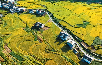 未来五年，自然资源更好支撑高质量发展