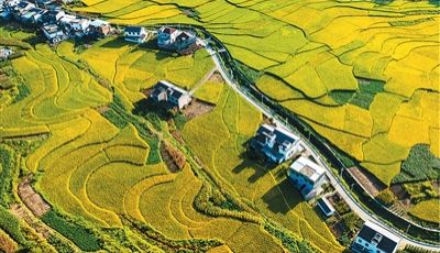 未来五年，自然资源更好支撑高质量发展