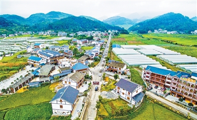 汲取红色养分 乡村花繁叶茂