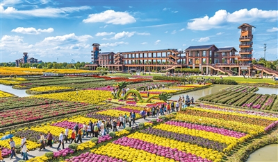 乡村游点亮文旅市场
