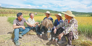 田间访民情 