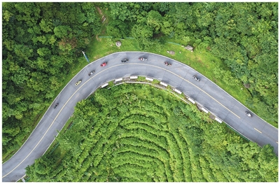 打卡“网红公路” 奔赴诗和远方