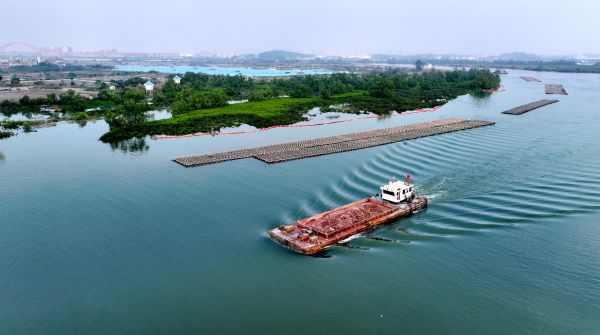 平陆运河航道设置防污帘守护红树林(平陆运河集团供图)