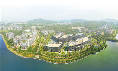 多措并举，共促产业向新向优