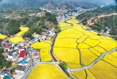稻花香里话古渠